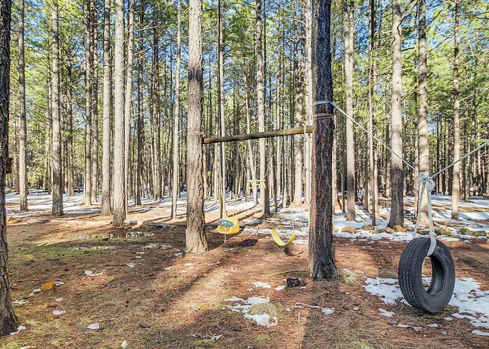 Family-friendly W/ Fire Pit In Forest Lakes